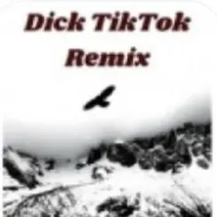 unknown - Тык дык тыг дык шабаман Байден Байден Байден (tik tok) слушать онлайн