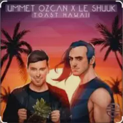 Ummet Ozcan & Le Shuuk - Toast Hawaii слушать онлайн