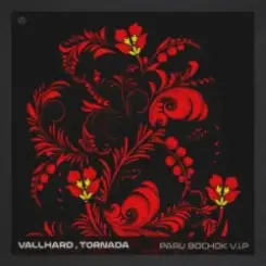 Vallhard & Tornada - Paru Bochok V.I.P слушать онлайн