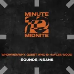 WHOWHENWHY, Guest Who & Haylee Wood - Sounds Insane (Extended Mix) слушать онлайн