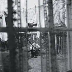 Paul McCartney - English Tea слушать онлайн