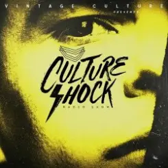 Vintage Culture - Culture Shock слушать онлайн