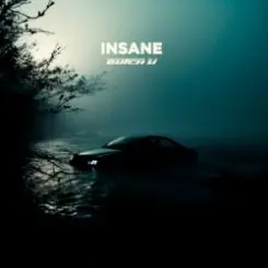 Butch U - Insane слушать онлайн