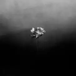 Little Simz - Young слушать онлайн