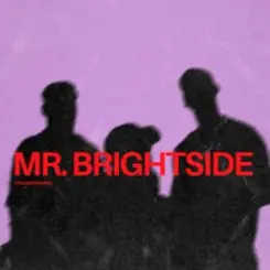 ItaloBrothers - Mr. Brightside слушать онлайн