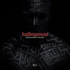 HEDEGAARD & Sanjin - badboysound слушать онлайн
