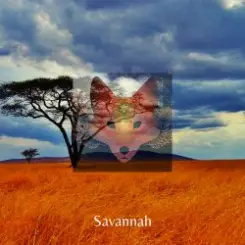 Savannah - Day After Day & Night слушать онлайн