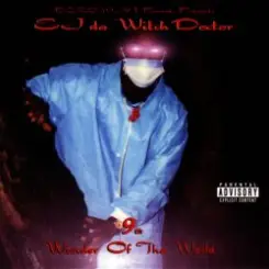 Witchdoctor - 9th Wonder Of Tha World слушать онлайн