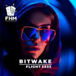 Bitwake - Flight 3033 слушать онлайн