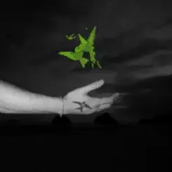 BSEARL & Limmz - DECISION слушать онлайн