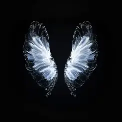 Whales - Believe слушать онлайн