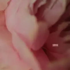 Lewis Capaldi - Survive слушать онлайн