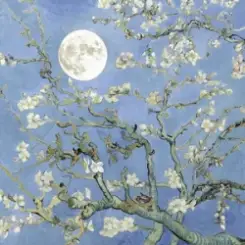 JVKE & JEON SOMI - moonboy слушать онлайн