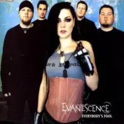 Evanescence - Taking Over Me (Live from Cologne) слушать онлайн