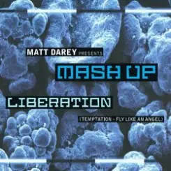 Matt Darey pres. Mash Up - Liberation (Ferry Corsten Remix) слушать онлайн