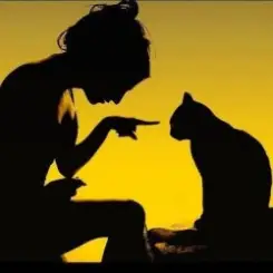 Armin van Buuren - Communication (Jon Vesta Remix) слушать онлайн