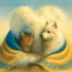 Обійми добра - Обійми добра - гімн волонтерської нагороди слушать онлайн