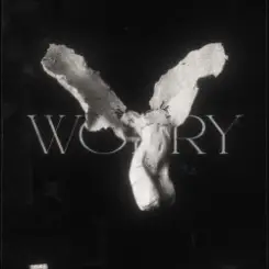 LONOWN & riserayss - starly & jessie (Mashup) слушать онлайн