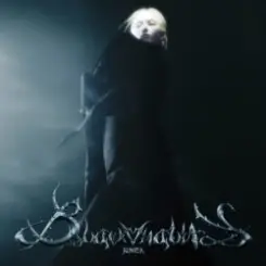 K Lu - Black Vitality слушать онлайн