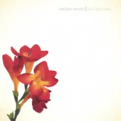 Caitlyn Smith - Crushed And Created слушать онлайн