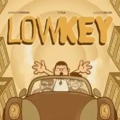 Tujamo & Adnan Veron & Erga - Lowkey (with Liquid Silva) слушать онлайн