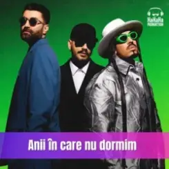 Smiley & Alex Velea & Connect-R. - Anii in care nu dormim (Speak Remix) слушать онлайн