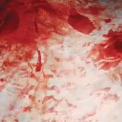 Salem - Better Off Alone слушать онлайн