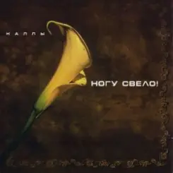 Ногу свело! - Ave Maria слушать онлайн