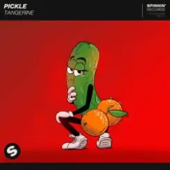 Pickle - Journey слушать онлайн