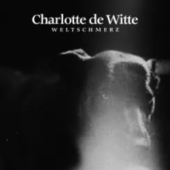 Charlotte De Witte - Damage Control слушать онлайн
