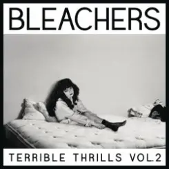 Bleachers - Rollercoaster слушать онлайн