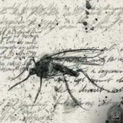 Jolliffe & Liam Bailey - Let the Sun Shine слушать онлайн