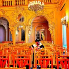 Паша Proorok - У-у-у, малая слушать онлайн