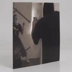 DJ Stingray 313 - Lead From The Shadows слушать онлайн