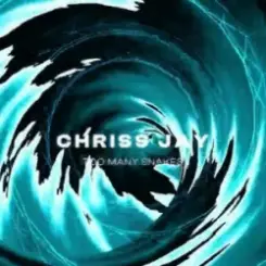 Chriss Jay - Too Many Snakes слушать онлайн