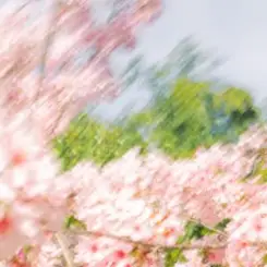 Shallou - Habitat слушать онлайн