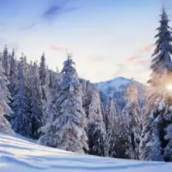 Y.K. MUSIC - ОЙ, КАРПАТИ - БІЛІ ШАТИ слушать онлайн