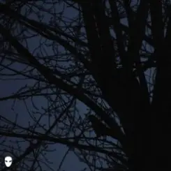 Pharmacist - Dreamin слушать онлайн