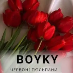 Бойки - Червоні тюльпани слушать онлайн