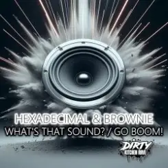 Hexadecimal & DJ Brownie - What's That Sound слушать онлайн
