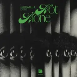 Hardwell & Dyro - Not Alone слушать онлайн