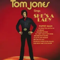 Tom Jones - She's A Lady слушать онлайн