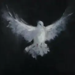 Evo 28 - Funk Spirit слушать онлайн