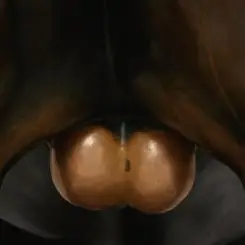 Кровосток - Бабочки слушать онлайн