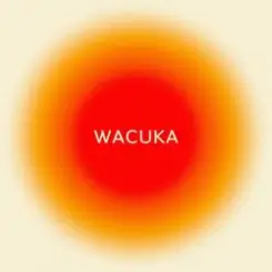 AVAION feat. Sofiya Nzau - Wacuka слушать онлайн