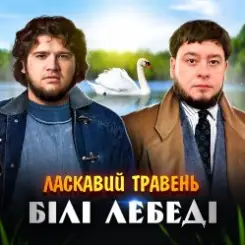 ЛАСКАВИЙ ТРАВЕНЬ - Білі лебеді слушать онлайн