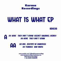 DJ Ande & DJ KOS & DJ Terrace - They Don't Know (Secret Squirrel Remix) слушать онлайн