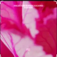 Helsloot & Mees Salome - Solace (Extended Mix) слушать онлайн