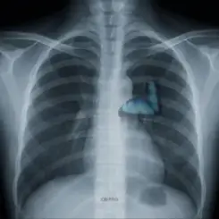 Vsivdoma - Світло слушать онлайн