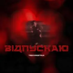 TSEKHMESTRUK - Відпускаю слушать онлайн